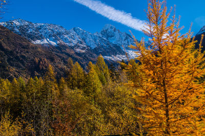 Scenic view of snowcapped mountains during autumn