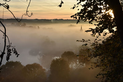 Trees by river in foggy weather during sunrise 