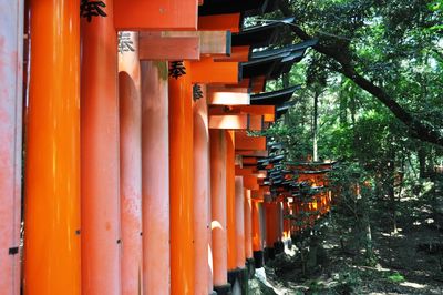 Row of temple in building