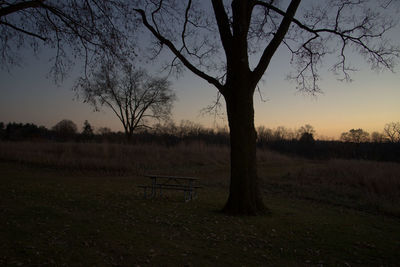 Silhouette bare tree on field against sky during sunset