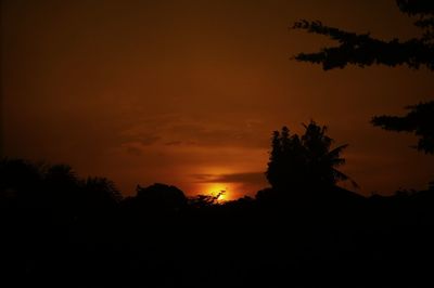 Silhouette trees against orange sky