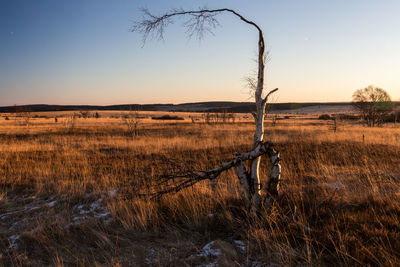 Scenic view of field against sky at sunset