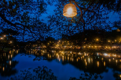 Illuminated trees by lake against sky at night