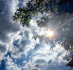 Low angle view of trees against cloudy sky