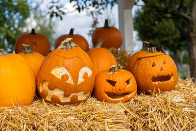 Jack o lantern on field