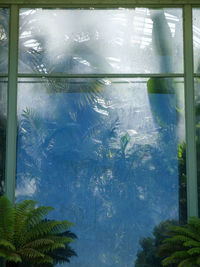 Fish swimming in aquarium