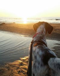 Scenic view of beach at sunset