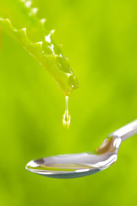 Drop of aloe vera medicinal plant