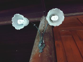 Low angle view of water hanging on paper