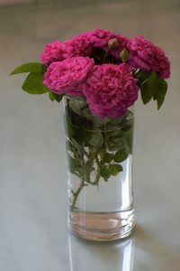 Close-up of pink roses in vase on table