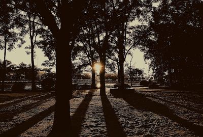 Silhouette trees against sky during sunset