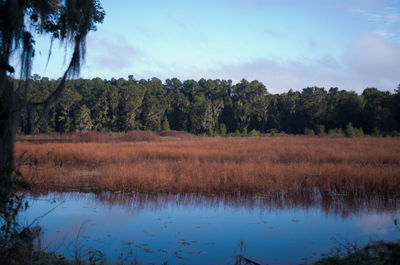 Scenic view of calm lake against sky