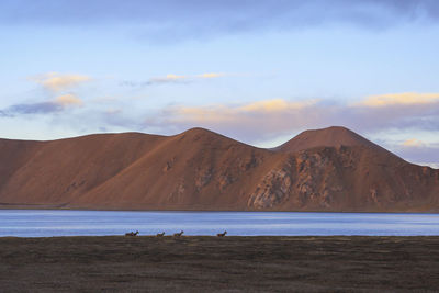 Scenic view of rocky mountains in front of sea