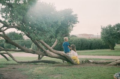 Rear view of people with arms raised on grass against trees