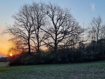 Silhouette bare trees on field against sky during sunset