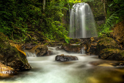 Scenic view of waterfall in forest