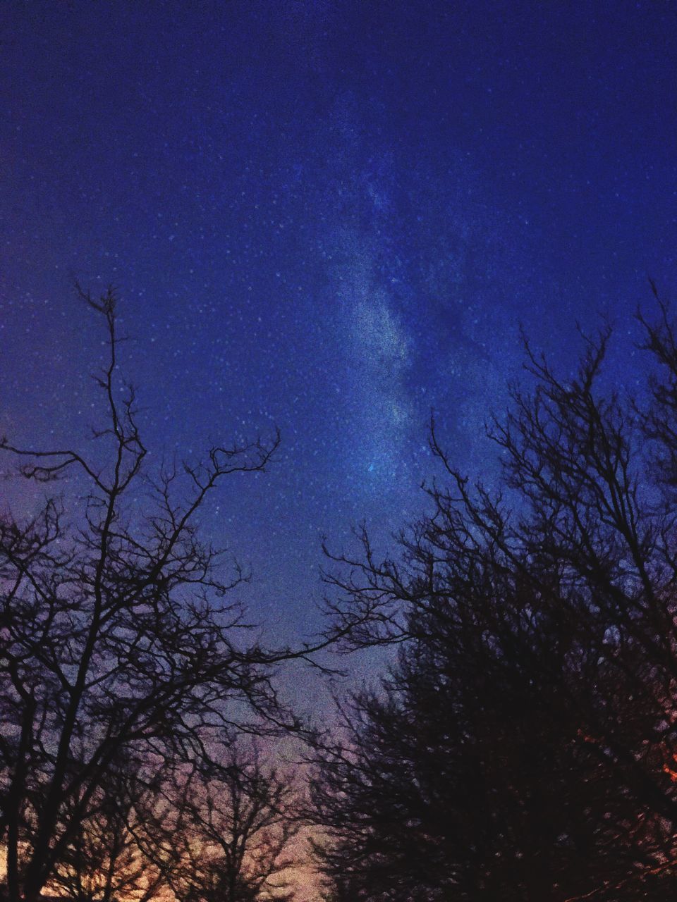 low angle view, tree, silhouette, bare tree, night, sky, beauty in nature, tranquility, scenics, blue, nature, moon, tranquil scene, branch, star - space, dusk, idyllic, star field, astronomy, high section