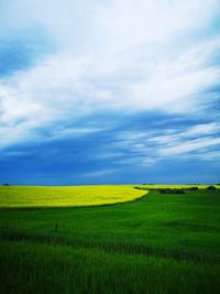 Scenic view of field against sky