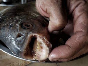 Close-up of person preparing food