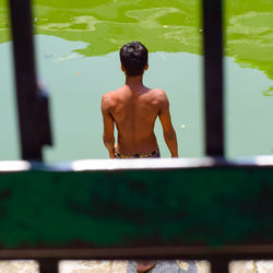 Rear view of shirtless man standing in swimming pool