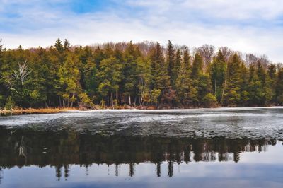Scenic view of lake in forest against sky