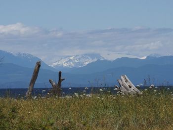 Scenic view of field and mountains against sky