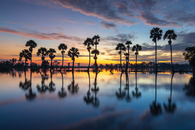 Silhouette trees by lake against sky during sunset