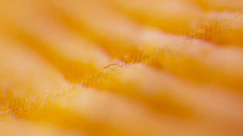 Macro shot of orange abstract background