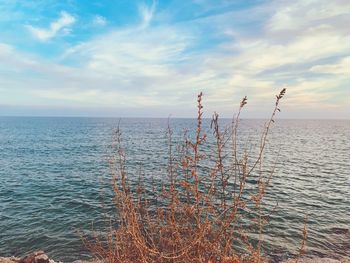 Scenic view of sea against sky