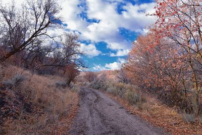 Road amidst trees against sky during autumn