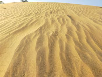 Sand dunes in desert