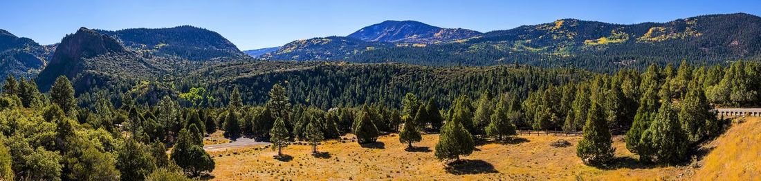 Panoramic shot of trees on landscape against sky