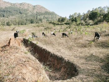 Group of people on the ground