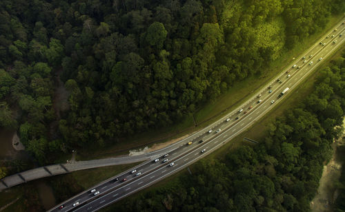 High angle view of road amidst trees