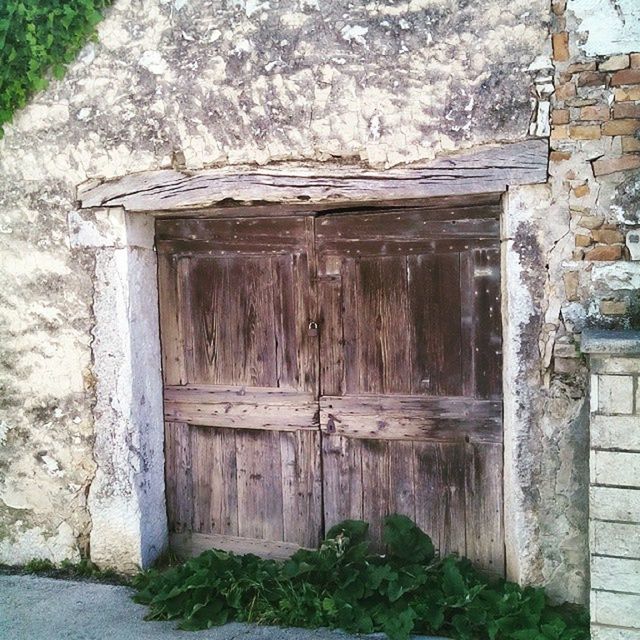 built structure, architecture, building exterior, wood - material, door, house, closed, old, wooden, window, weathered, wood, brick wall, day, outdoors, stone wall, wall - building feature, plant, no people, entrance