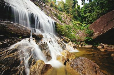 View of waterfall in forest