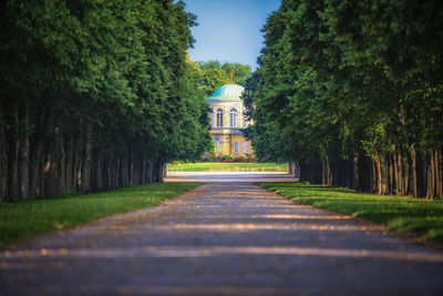 Footpath amidst trees in park