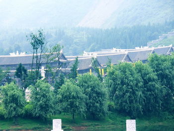Scenic view of grassy field against sky