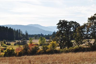 Scenic view of green landscape and mountains against sky