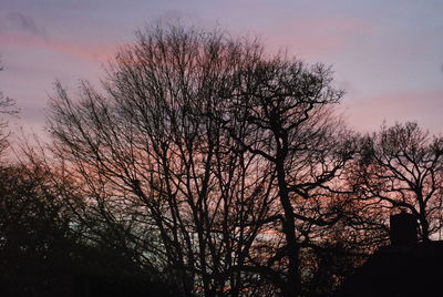 Low angle view of bare trees against sky at sunset