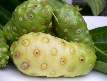 Close-up of green fruits