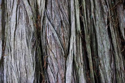 Full frame shot of wood