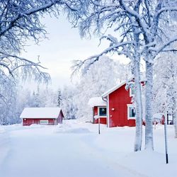 House on snow covered landscape