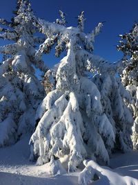 Snow covered land against sky