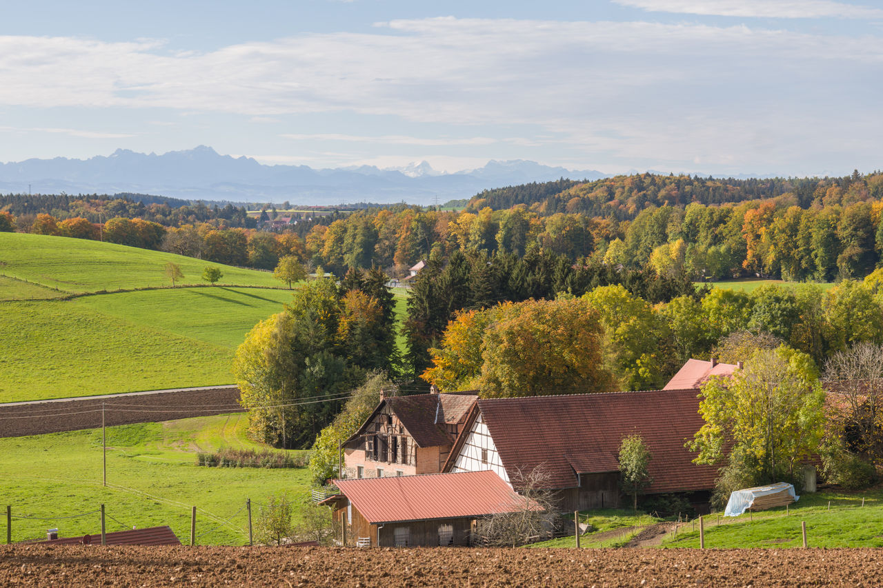 Oberschwaben - where my heart finds peace and my soul finds rest. The meadows are still shining in a bright and saturated green while the first trees have turned orange. The view is clear to present the alps at the horizon, the morning sun is sending a warm glow over the landscape. Everything is properly prepared for the dark time of the year, the hours of baking and handicraft at home with family, passing time and waiting for the snow and the winter pleasures. Leica CL Leicacamera Paysages Grys Oberschwaben PBW_AUTUMN_MOOD Photo_boom_wednesday Tree Rural Scene Agriculture Field Sky Landscape Plant