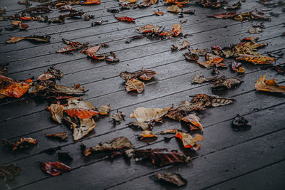 High angle view of dry leaves on street during autumn