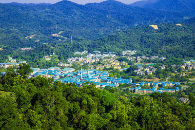 High angle view of trees and buildings