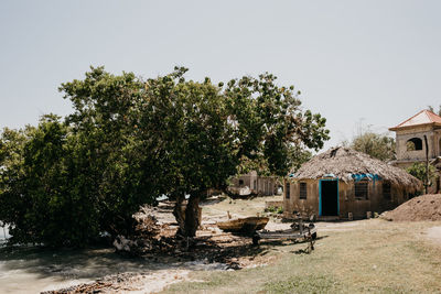 Trees and houses against clear sky