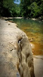 Close-up of rocks on shore