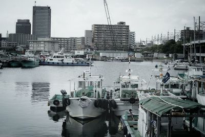 Boats moored at harbor against sky in city